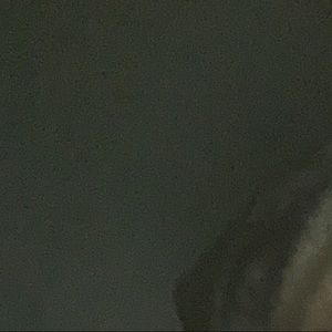 Meet your Posher, Lindsay